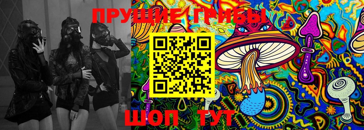 Галлюциногенные грибы Cubensis Чебоксары