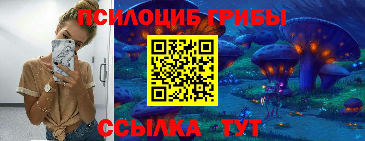 Чебоксары  Галлюциногенные грибы Cubensis  Вход с VPN  Галлюциногенные грибы Magic Shrooms 